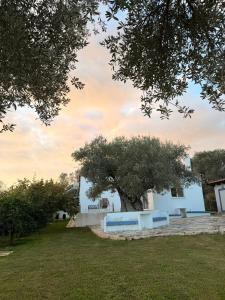 Swimmingpoolen hos eller tæt på Casa Fouli - Eretria