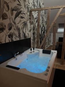 a bath tub with blue water in a room at Résidence ARTHUS Thamarys in Pierrefonds