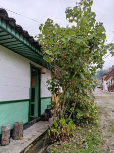 een boom voor een groen en wit gebouw bij Koniminto Hostal in Pijao