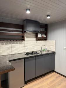 een keuken met een spoelbak en een aanrechtblad bij У Віти номер 4 in Synevyrsʼka Polyana