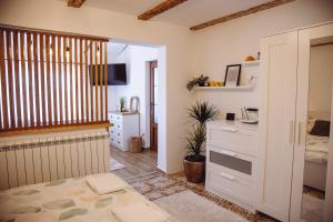 Billede fra billedgalleriet på Lazarica 