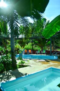 una piscina con due sedie e una palma di RepousaAquiÓ Olímpia a Olímpia