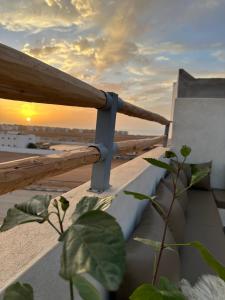 Příroda nedaleko hostelu