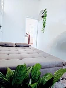 En eller flere senge i et værelse på Flats a 4km do Centro Histórico e cachoeiras + 116 billeder