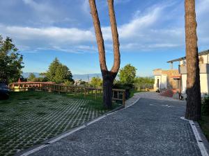 two palm trees on the side of a driveway at InVilla in Naples