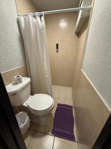 马塔莫罗斯Hotel Ossi Inn的浴室里有马桶和淋浴，淋浴间铺着紫色地垫。