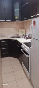 Kuchyň nebo kuchyňský kout v ubytování Twins apartman