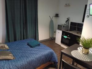 a bedroom with a bed and a table and a kitchen at Studio cœur de ville in Foix