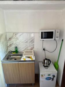 een kleine keuken met een spoelbak en een magnetron bij Departamentos LT3 in Las Toscas +4 foto's