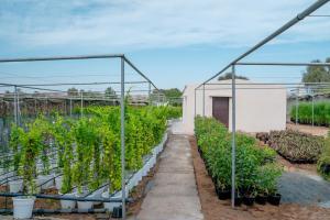 Vườn quanh Eco Paradise Harmony 2BHK Nature Retreat +8 ảnh