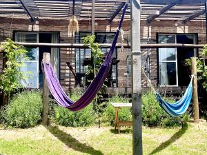 Zahrada ubytování Cabaña frente a las dunas, a 5 minutos de Mundo Marino y Termas Marinas