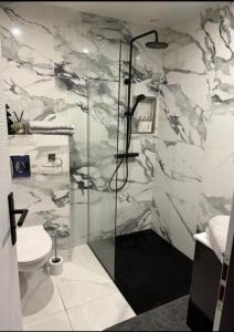 un bagno con doccia e WC di Le Cocoon a Nevers