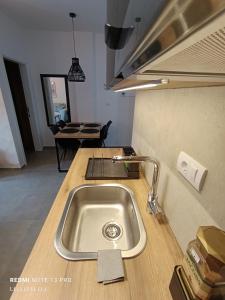een aanrecht met een wastafel in de keuken bij Pino Silvestre Divčibare in Divčibare