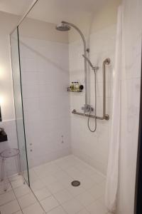 a bathroom with a shower with a glass door at The Dome Boutique Apartments in Napier