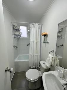 Koupelna v ubytování Departamento piscina y estacionamiento en condominio Villarrica