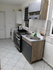 Kuchyň nebo kuchyňský kout v ubytování Gara mare living-dormitor