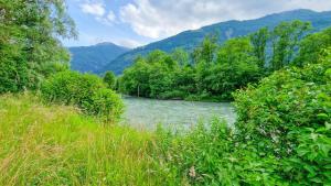 een rivier met bomen en bergen op de achtergrond bij Apartment Gletscher & Fluß in Penk +7 foto's