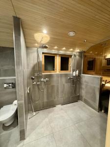 a bathroom with a shower and a toilet and a sink at Aurora Arctic Riverside Villa in Rovaniemi +36 photos