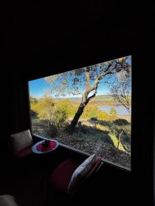 a large window with a view of a tree at The Bungalow - Quinta da BellaVista in Almoster