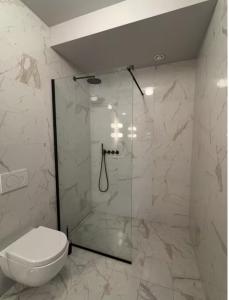 un bagno con wc e doccia in vetro di Room in modern downtown apt with private bathroom a Reykjavik 1 altra foto