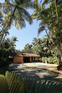 un complexe avec des palmiers devant un bâtiment dans l'établissement Casa da Árvore - Pousada Jussara, à Joinville