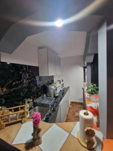 a kitchen with a sink and a counter top at Casa Roxana in Vişeu de Mijloc +55 photos