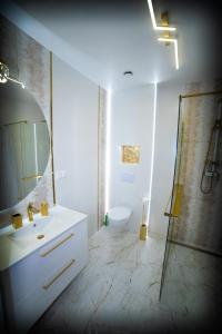 een badkamer met een wastafel, een toilet en een spiegel bij Dream House Naftowa in Ustrzyki Dolne