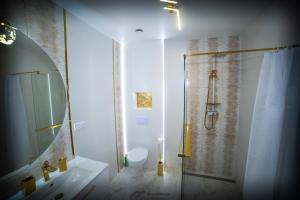 een badkamer met een douche, een toilet en een wastafel bij Dream House Naftowa in Ustrzyki Dolne