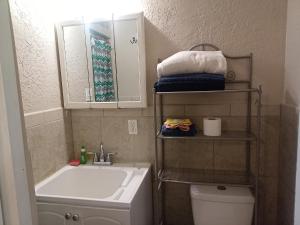 un bagno con lavandino, WC e specchio di Pinellas Park Oasis a St Petersburg Altre 4 foto