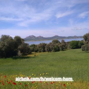 een veld van groen gras met een meer op de achtergrond bij Welcome home in Taounate