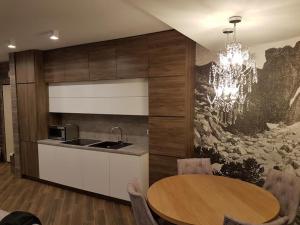 Kuchyňa alebo kuchynka v ubytovaní Apartament Silver - Stara Polana Spa