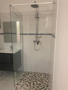 a shower with a glass door in a bathroom at Bungalow cerise in Morne-à-lʼEau +1 photo
