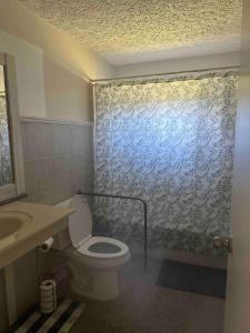 een badkamer met toilet en douchegordijn bij The Holler in Andrews +56 foto's