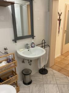a bathroom with a sink and a mirror at Ferienwohnung Wandersnest in Gersfeld