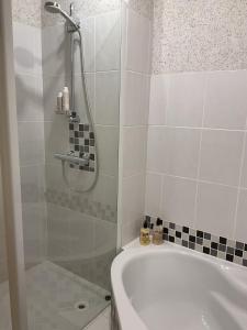 a bathroom with a shower and a bath tub at Ferienwohnung Wandersnest in Gersfeld +20 photos