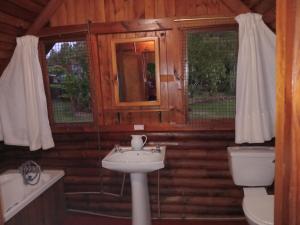 a bathroom with a sink and a toilet and window at Tannenhof Countryside Log Cabins in Sanddrif +32 photos