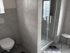 a bathroom with a toilet and a shower at Haus Heiken Apartment Sonnenblume in Altenburg