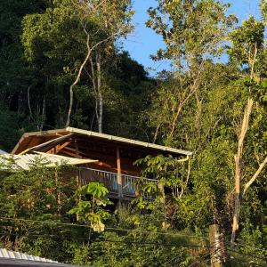una casa in mezzo a una foresta di Altos de la Playa a Bahía Solano