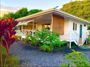 Zahrada ubytování White Cloud