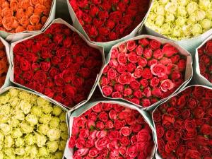 Mad på hotellet eller i nærheden