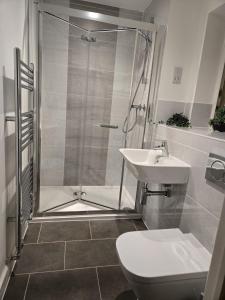 een badkamer met een douche, een toilet en een wastafel bij Work & Family Haven in Ashford