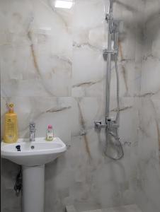 een badkamer met een wastafel en een douche bij Home Sweet in Balaovit