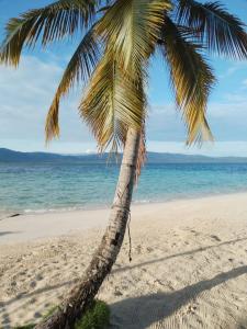 Naturlandskabet i nærheden af lodgen