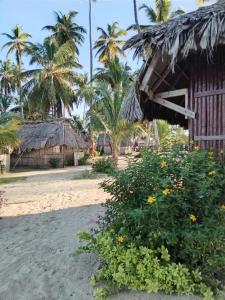 uma cabana na praia com palmeiras e flores em Discovery Gunayar em Cayos Los Grullos