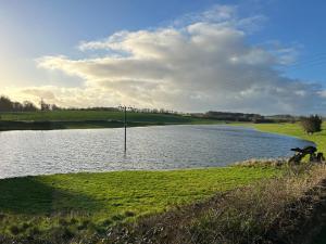 Naturlandskabet i nærheden af landstedet + 67 billeder