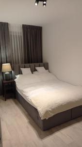 Postel nebo postele na pokoji v ubytování Apartament 2 pokoje , kuchnia, całe wyposażenie, Centrum, koło Sklepu, Free WiFi + 21 fotografií
