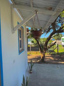 een veranda met een potplant die aan een gebouw hangt bij Solar da Pérola in Salvaterra