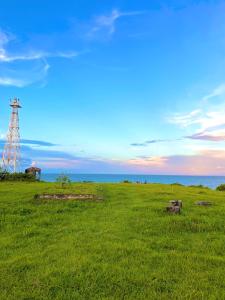 een grasveld met een zendmast in de verte bij Solar da Pérola in Salvaterra