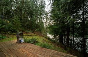 Příroda nedaleko prázdninového domu