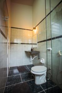 een badkamer met toilet en wastafel bij Pousada Horizonte da Canastra in São Roque de Minas